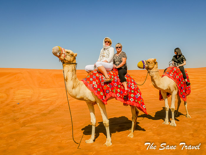 37desert safari thesanetravel.com P1157619