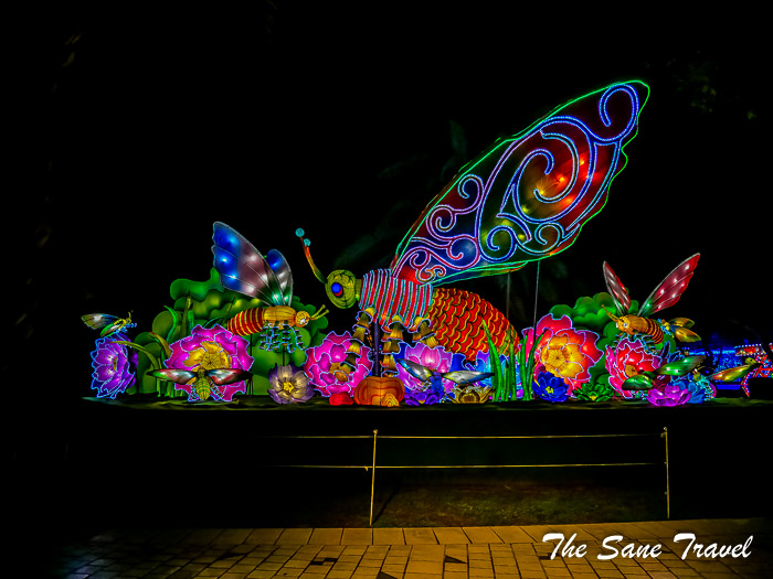 55 glow garden thesanetravel.com P1157850