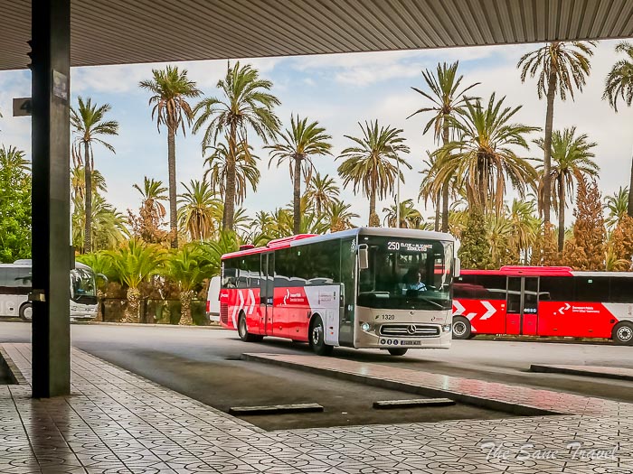 99 bus thesanetravel.com P1499553