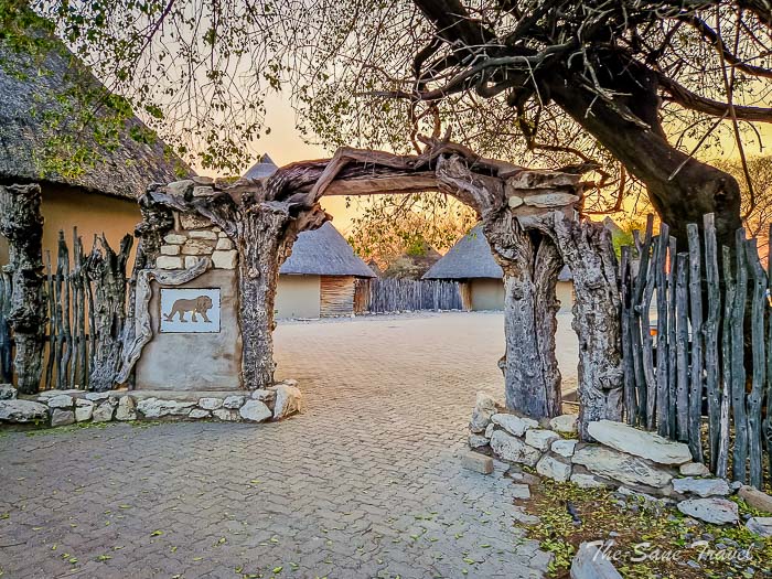 101 okaukueejo etosha thesanetravel.com 20240916 183828