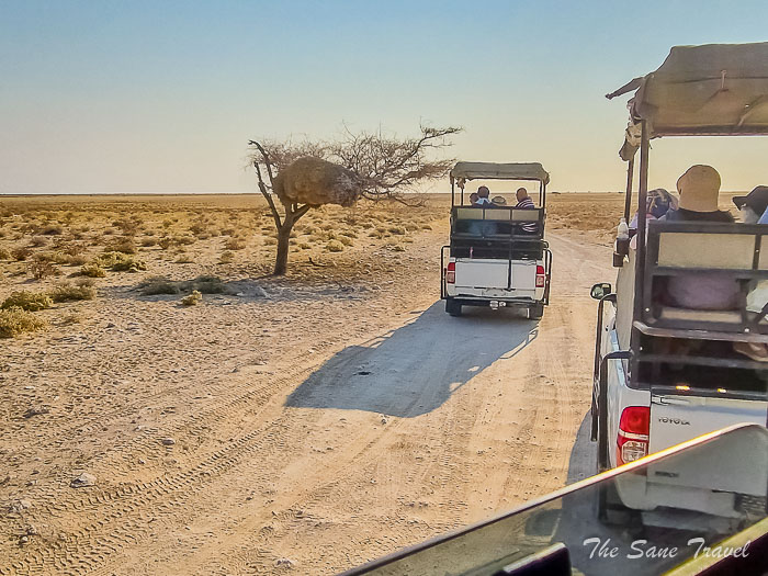 110 vehicles etosha thesanetravel.com 20240916 170046