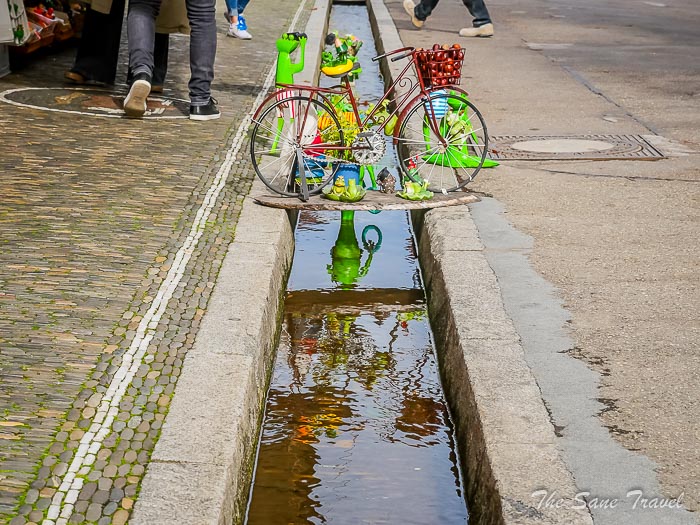 19 bachles thesanetravel.com P1476557