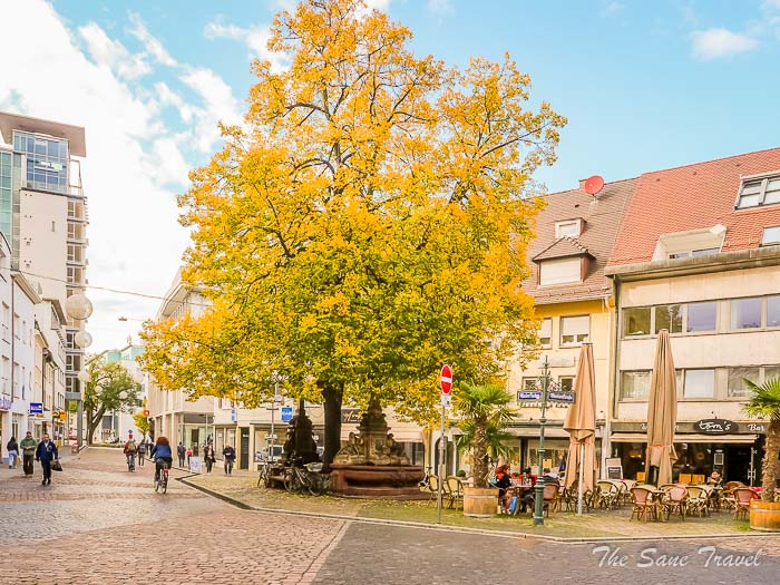 20 unterlinden thesanetravel.com P1476735