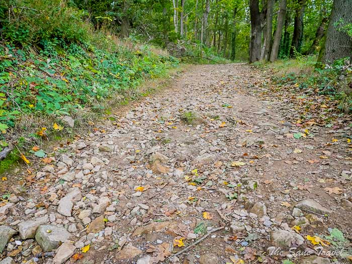 54 schlossberg thesanetravel.com P1476638