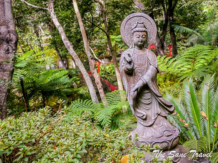 16 tropical garden monte thesanetravel.com P1122240