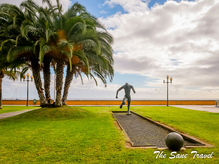 40 football player thesanetravel.com P1122561