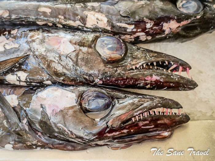 54 market funchal thesanetravel.com P1122691