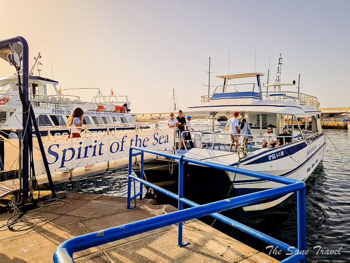 70 puertorico thesanetravel.com20231212 094934