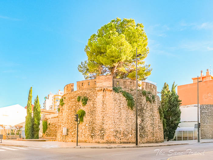 71 pine gandia thesanetravel.com P1683323