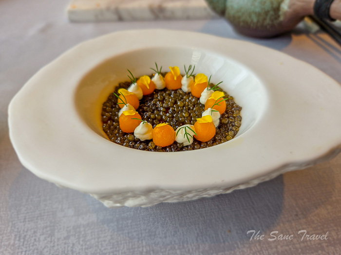 60 peach thesanetravel.com 20250323 125022