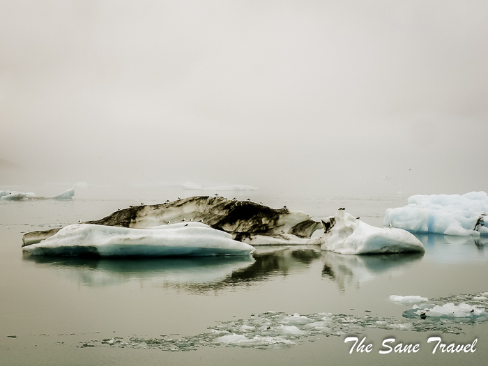 24 glacier lagoon thesanetravel.com P1064901