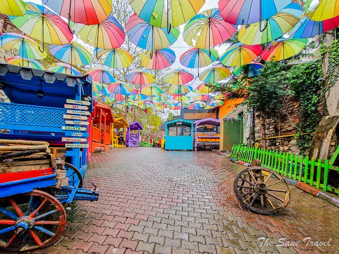 81 incir thesanetravel.com 20230411 143829