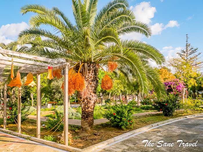 13 villa rundla gardens thesanetravel.com P1144690