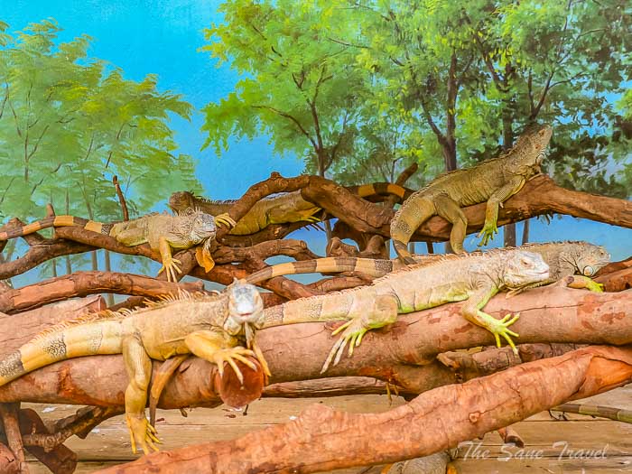 207chimelong thesanetravel.com P1567886