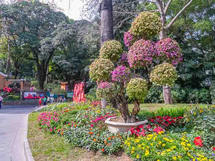 90yuexiu thesanetravel.com P1545380