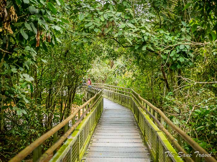 27 iguazu falls thesanetravel.comP1263456