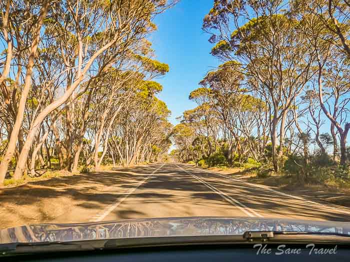 192 road thesanetravel.com P1709792