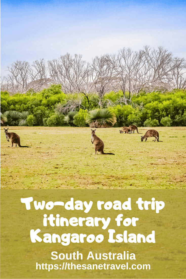 KangarooS