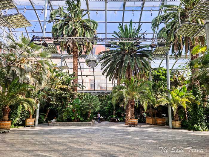 51 mainau thesanetravel.com 20230808 095602