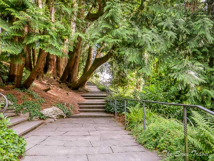 66 mainau thesanetravel.com P1345646