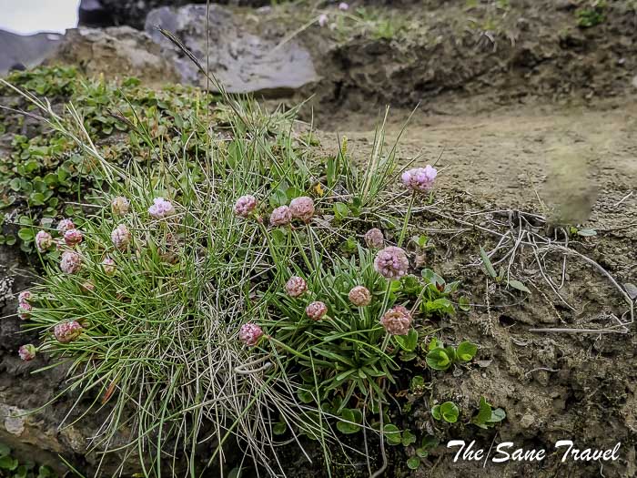 40 landmannlaugar thesanetravel.com P1054028