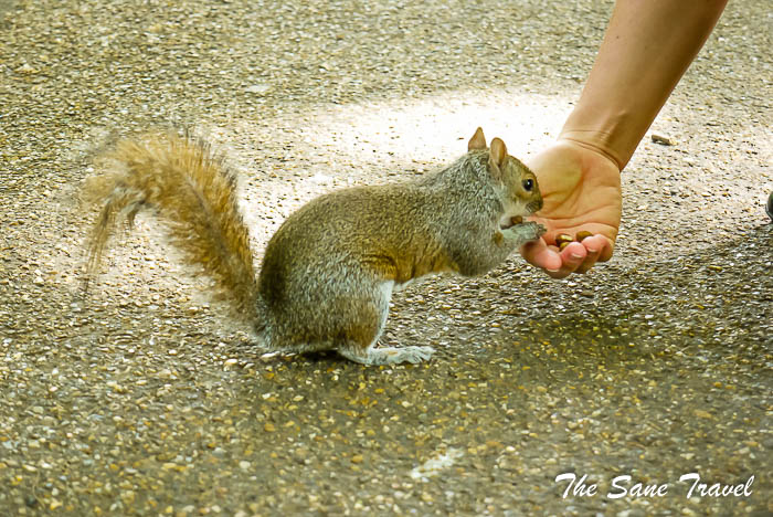 78 st james park thesanetravel.com P1070017