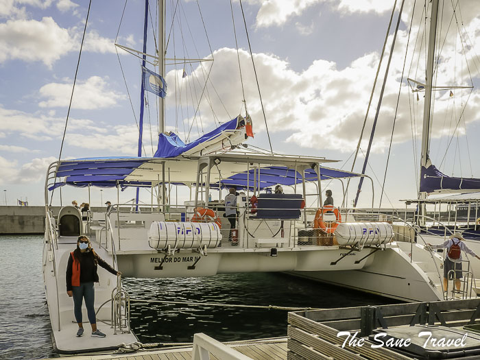 51 catamaran tour madeira thesanetravel.com P1122815