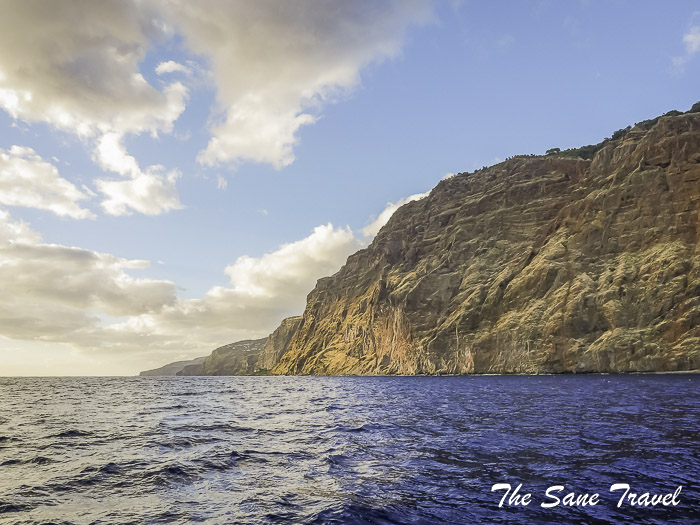 52 catamaran tour madeira thesanetravel.com P1122867