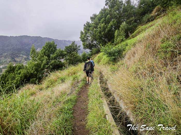 93 half day levadas thesanetravel.com P1133889