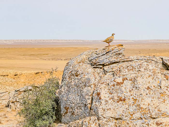 231 5 day mangistau thesanetravel.com P1658868