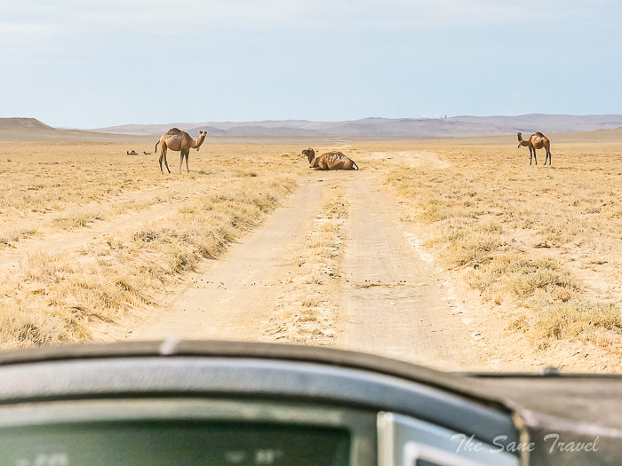 239 5 day mangistau thesanetravel.com P1658929