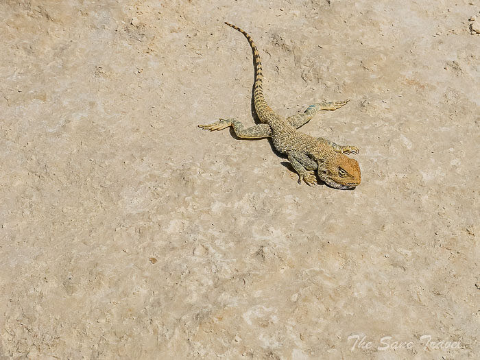 60 2 day mangistau thesanetravel.com P1647736