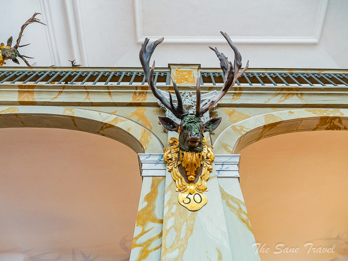 29 moritzburg thesanetravel.com P1612706