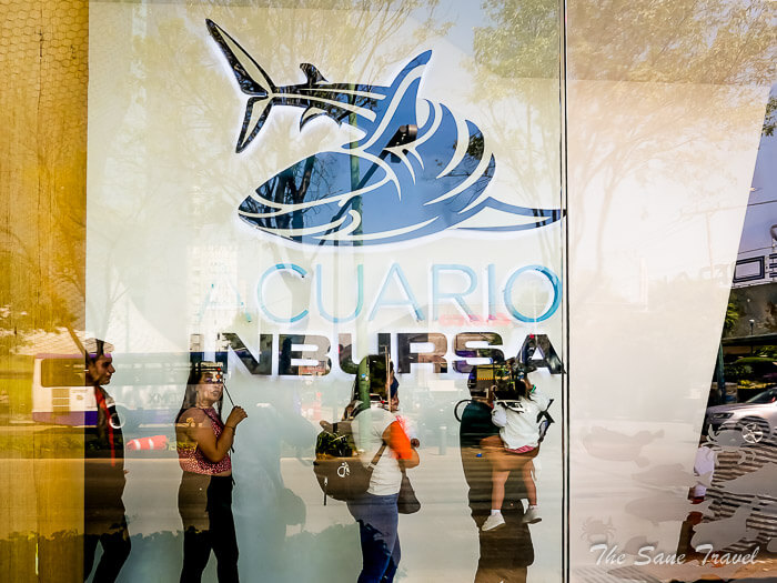 21 aquarium thesanetravel.comP1309116