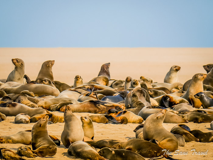 35 walvis bay thesanetravel.com P1442743