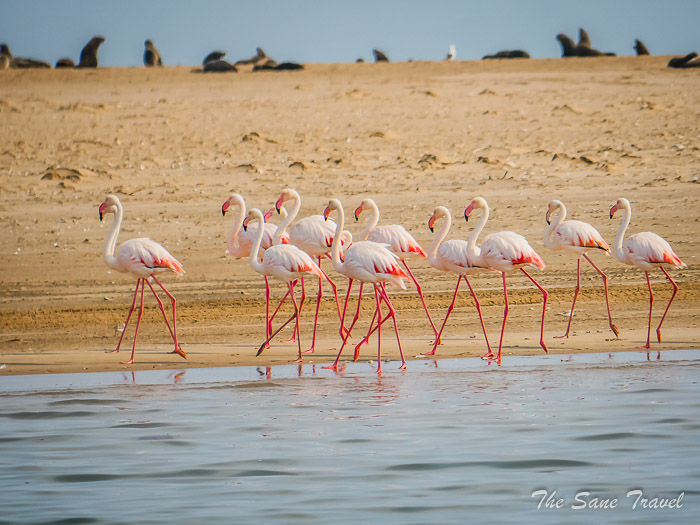 37 walvis bay thesanetravel.com P1442795