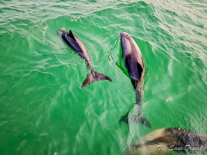 40 walvis bay thesanetravel.com 20240913 102035