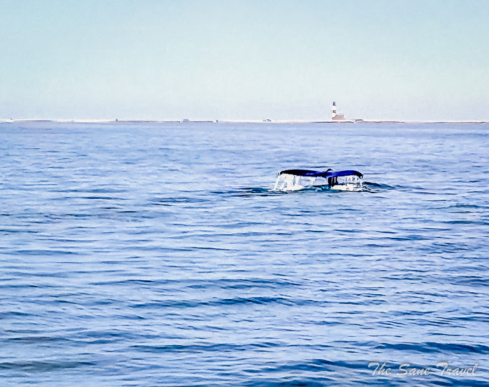 41 walvis bay thesanetravel.com 20240913 105549