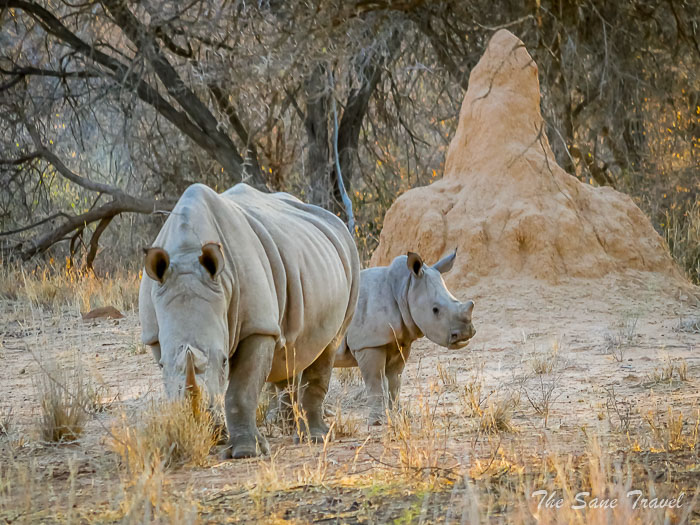 70 waterberg thesanetravel.com P1464976