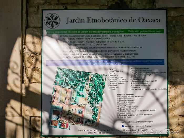 37 botanic oaxaca thesanetravel.comP1298298