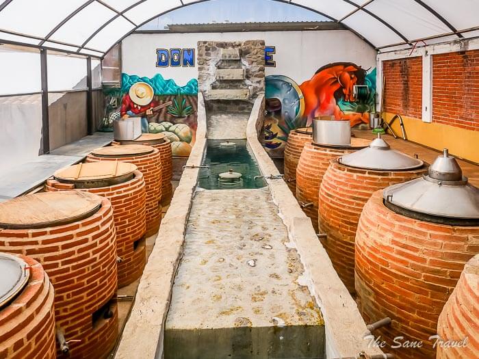 74 mezcal oaxaca thesanetravel.comP1298216