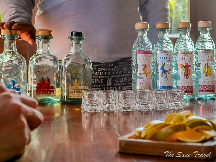 76 mezcal oaxaca thesanetravel.comP1298231