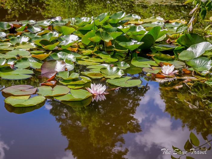 98 spakovskis park ogre thesanetravel.comP1239757