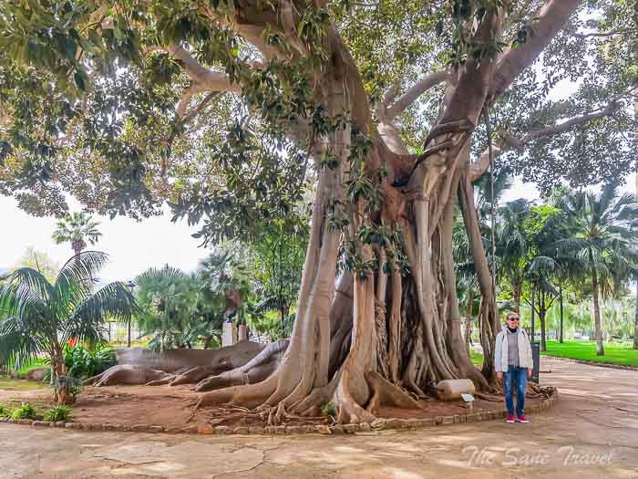 84 palazzo normanni thesanetravel.com P1578456