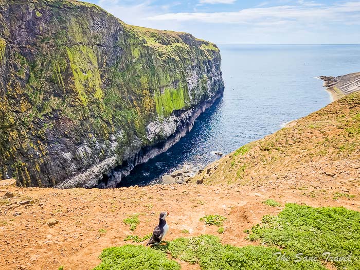 120 skomer thesanetravel.com20220614 150504