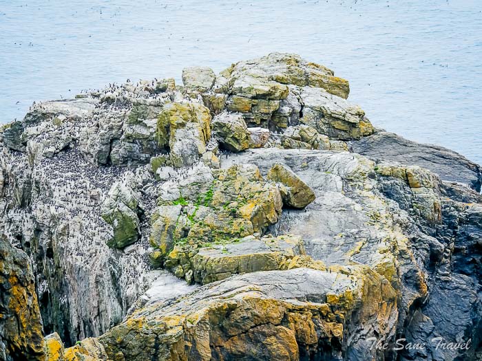 71 other skomer thesanetravel.comP1205465