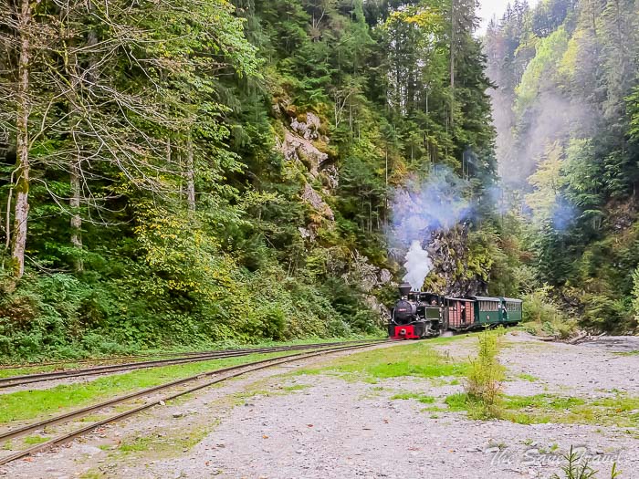 202 steam train thesanetravel.comP1348018