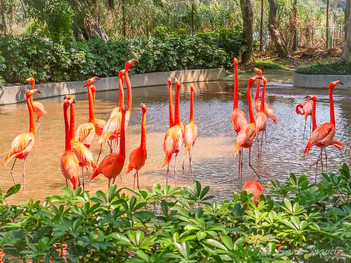 38wetland park thesanetravel.com P1556269