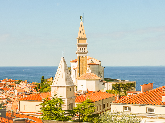 86 piran thesanetravel.com P1660411