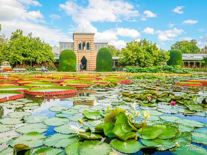 11 wilhelma stuttgart thesanetravel.comP1240774